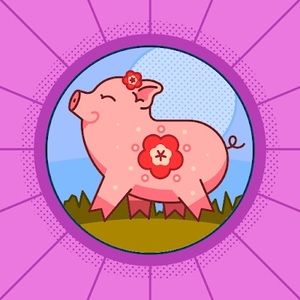 Meet your Posher, Krupa